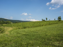 Creating a New State Park Creating a New State Park