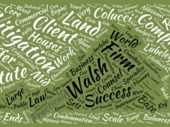 The Land Lawyers’ Year in Review The Land Lawyers’ Year in Review