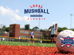 Land Lawyers Prepare for Third Annual Legal Mushball Classic Land Lawyers Prepare for Third Annual Legal Mushball Classic